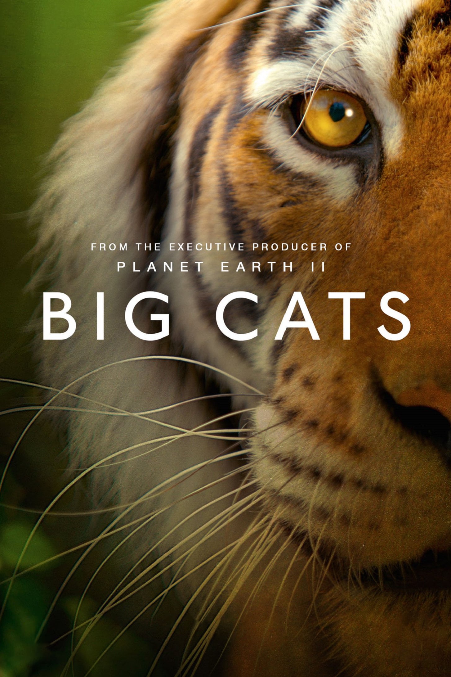 Big Cats [63072] (A1772120419) [[Shows 2.0]] --Plex--